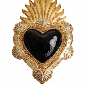 Corazon sin espinas
