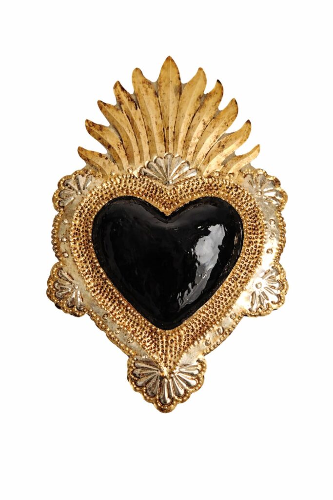 Corazon sin espinas